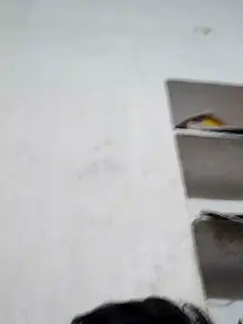 gita2006 online show from 02-28-26, 10:27