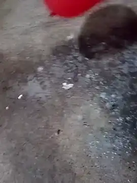 gonzalez1018 online show from 04-27-26, 02:15