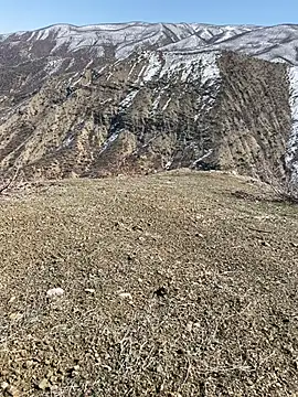 TurkeyMen online show from 03-03-26, 10:10