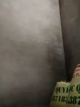 ngocbao11 online show from 04-26-26, 02:31