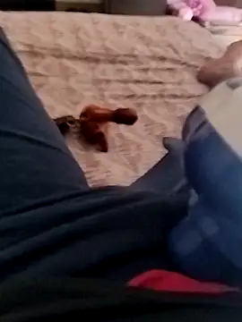 smallthickdick115 online show from 03-04-26, 06:19