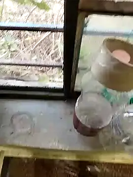 blackbeauty321 online show from 02-26-26, 11:20