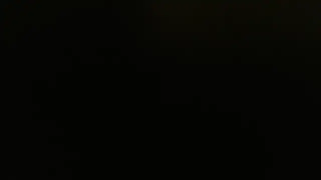 meowgary online show from 07-30-26, 10:09