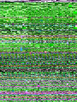 D SnowL online show from 07-10-26, 07:49