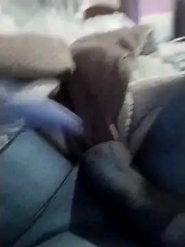 casal spzl online show from 03-10-26, 04:12