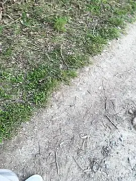 Snapshot of aras__25 chatting on 03-09-26, 02:43 aras 25 online show from 03-09-26, 02:43