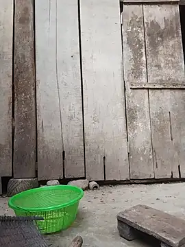 rinrin7700 online show from 04-16-26, 10:16