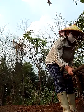 Heylen hooo online show from 03-29-26, 01:49