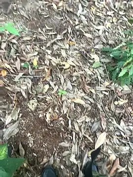 bibedro online show from 02-28-26, 09:16