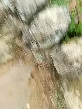 lyly sexx online show from 04-24-26, 09:34