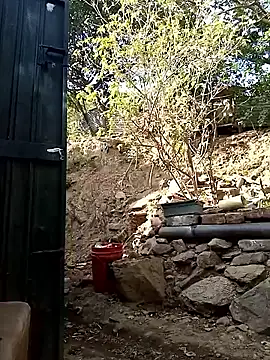 ginevere 20 online show from 04-22-26, 08:43