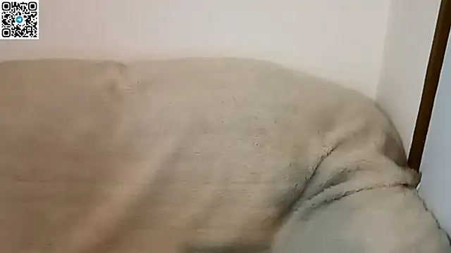  ZaneX online show from 04-09-26, 07:30