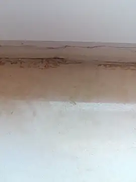 jeniferoo online show from 03-11-26, 08:42