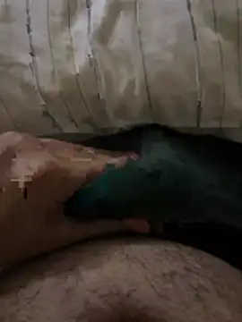 el sfaa7 online show from 04-10-26, 02:55