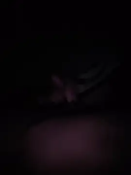 SerriLDey online show from 03-20-26, 12:48