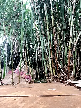 Tini-mimi online show from 04-23-26, 12:45