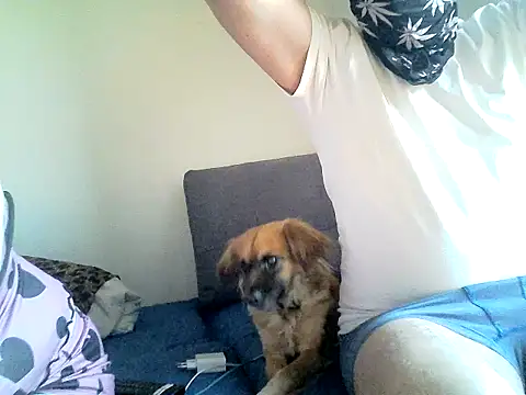 Snapshot of SirNefastus chatting on 04-12-26, 04:28 SirNefastus online show from 04-12-26, 04:28