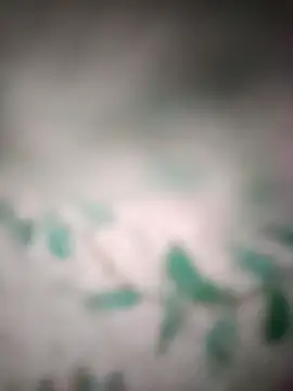 King night1 online show from 03-25-26, 10:05