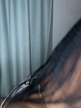 Jeanny301 online show from 03-11-26, 08:37