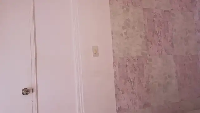 april summer  online show from 04-17-26, 09:07