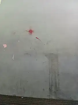 School teacher12 online show from 04-15-26, 03:41