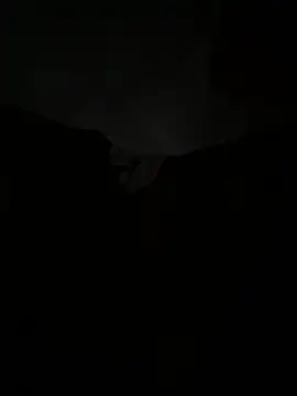 Chimtohd online show from 04-25-26, 02:25