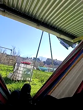 freedick93 online show from 03-17-26, 01:58