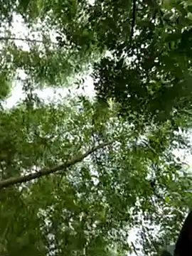 Hoanganhdayroii online show from 05-31-26, 01:36