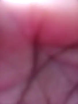 SexyJellyBee online show from 03-18-26, 11:57