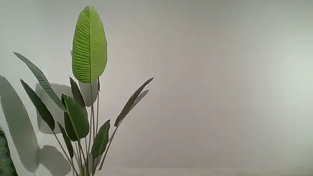 Couple qc online show from 05-25-26, 10:05