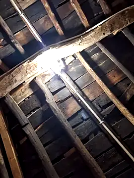 Snapshot of Alge882 chatting on 04-05-26, 12:19 Alge882 online show from 04-05-26, 12:19