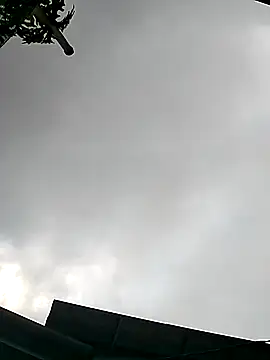 Cute-flowers online show from 03-21-26, 02:38