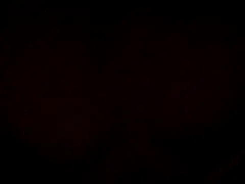 17Komodo online show from 05-14-26, 04:58