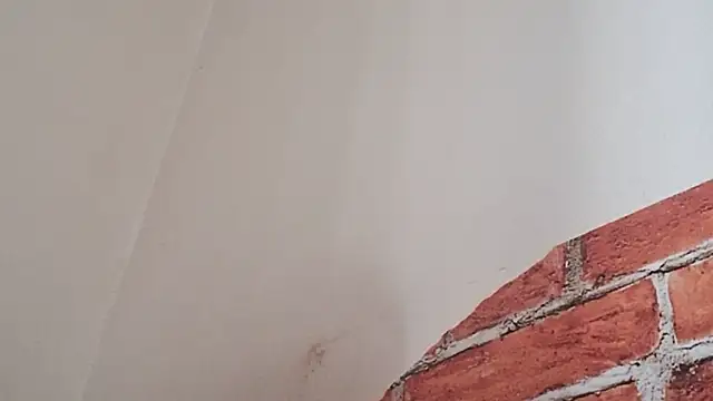 Sueliton2 online show from 03-28-26, 05:34