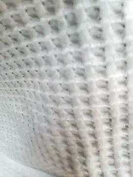 Aurora Nova online show from 03-25-26, 06:08