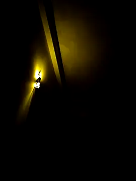 SLBL online show from 04-26-26, 12:08