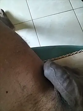 wildguy27 online show from 04-10-26, 07:57