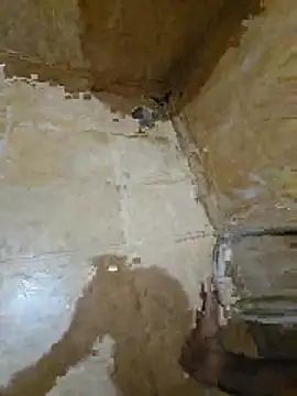 tamilpaiyan354 online show from 04-25-26, 03:20