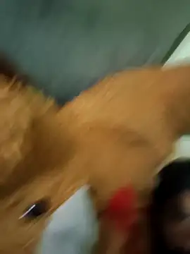 vishnu indian01 online show from 03-30-26, 01:01