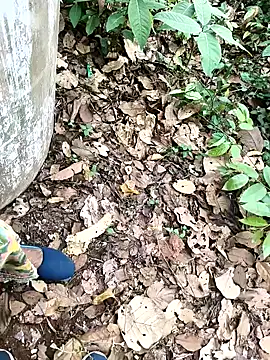 Chandni78 online show from 04-02-26, 07:50