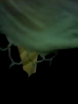 Snapshot of yourdreamman007_ chatting on 03-31-26, 11:27 yourdreamman007 online show from 03-31-26, 11:27