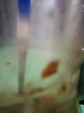 roc321 online show from 04-09-26, 11:37