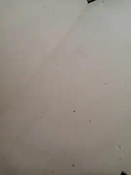 Luizfabiano887 online show from 04-29-26, 05:41