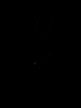 Rocky pune online show from 04-08-26, 01:55