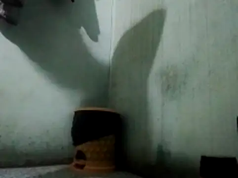 Snapshot of thichgaidambu chatting on 05-27-26, 08:11 thichgaidambu online show from 05-27-26, 08:11