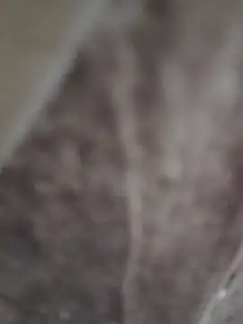 sk022 online show from 04-15-26, 06:26