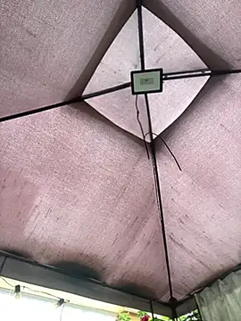 ZoeBennett Pink online show from 04-16-26, 09:39