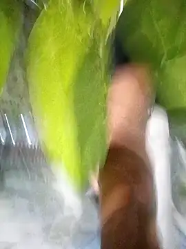 Snapshot of hot-daring chatting on 04-14-26, 05:35 hot-daring online show from 04-14-26, 05:35