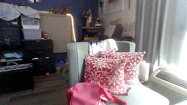 Snapshot of Dicksee_Left chatting on 04-29-26, 03:49 Dicksee Left online show from 04-29-26, 03:49