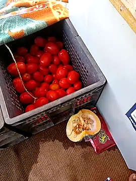 Sanjaykumarsaini online show from 04-26-26, 06:33